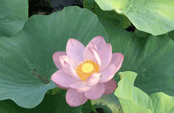 鞍山水處理設(shè)備廠(chǎng)家：水處理產(chǎn)品的多樣性