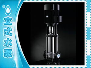立式水泵